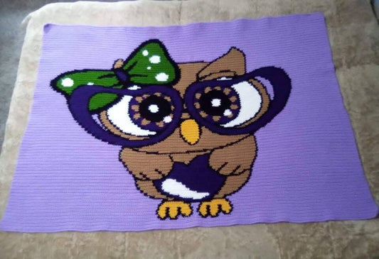 Hello Owl Graphghan Pattern