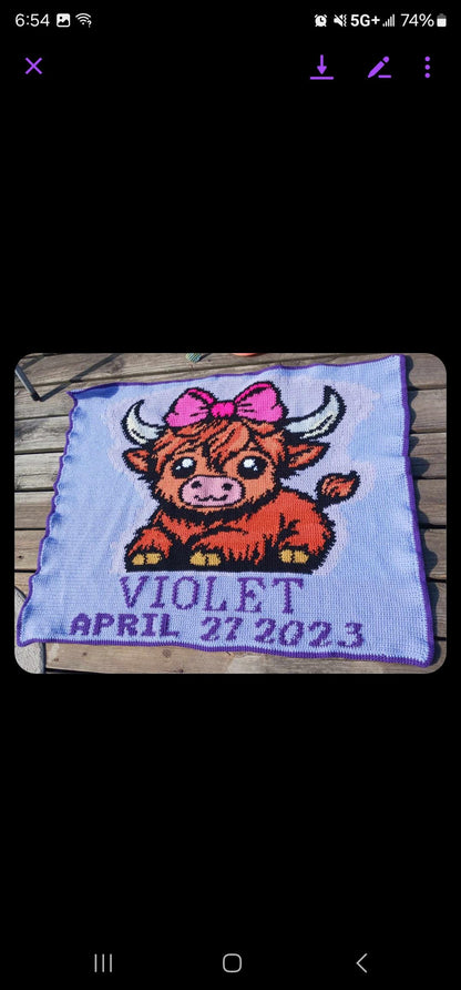 Custom Crochet Graphghan Pattern