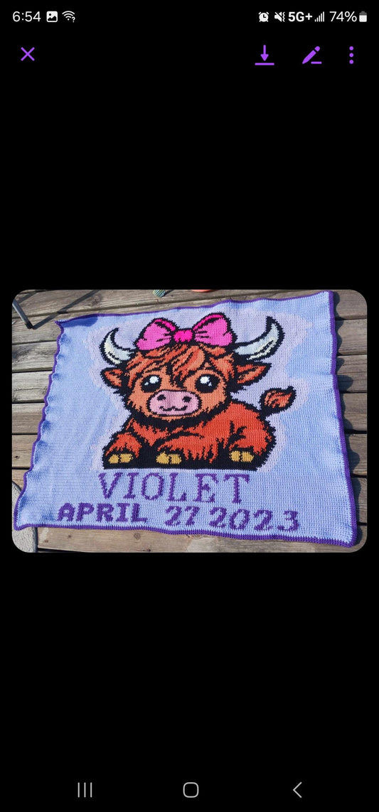 Custom Crochet Graphghan Pattern